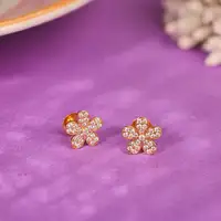 Graceful Gold Multicolor Heart Earrings